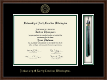 University of North Carolina Wilmington diploma frame - Tassel & Cord Diploma Frame in Delta