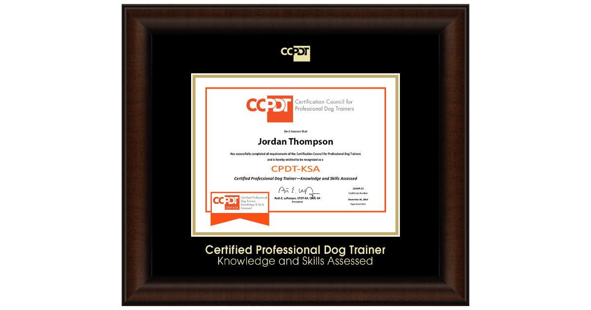 Gold Embossed CPDT KSA Certificate Frame in Lenox Certification Council