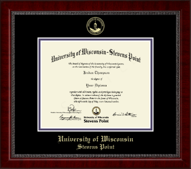 University of Wisconsin Stevens Point diploma frame - Gold Engraved Medallion Diploma Frame in Sutton