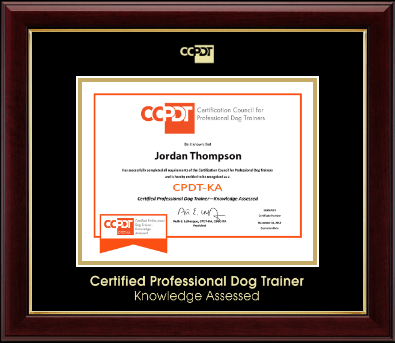 Certification Council for Professional Dog Trainers certificate frame - Gold Embossed CPDT-KA Certificate Frame in Gallery