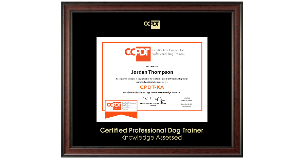 Gold Embossed CPDT KA Certificate Frame in Studio Certification Council
