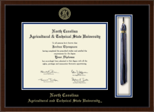 Tassel & Cord Diploma Frame