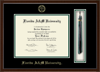 Florida A&M University diploma frame - Tassel & Cord Diploma Frame in Delta