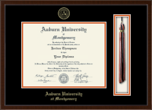 Tassel & Cord Diploma Frame