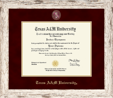 Texas A&M University - Galveston diploma frame - Masterpiece Medallion Diploma Frame in Barnwood White