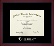 Northeast Wisconsin Technical College Silver Embossed Achievement Edition Diploma Frame in Academy