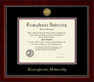 Transylvania University diploma frame - Gold Engraved Medallion Diploma Frame in Sutton