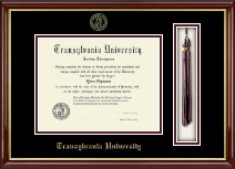 Transylvania University diploma frame - Tassel & Cord Diploma Frame in Southport Gold