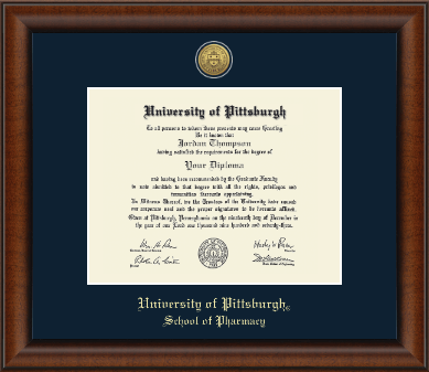 University of Pittsburgh diploma frame - Gold Engraved Medallion Diploma Frame in Austin
