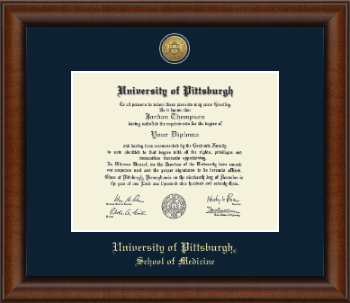 University of Pittsburgh diploma frame - Gold Engraved Medallion Diploma Frame in Austin