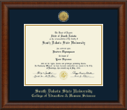 South Dakota State University Gold Engraved Medallion Diploma Frame in Austin