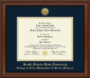 South Dakota State University diploma frame - Gold Engraved Medallion Diploma Frame in Austin