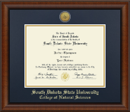 South Dakota State University diploma frame - Gold Engraved Medallion Diploma Frame in Austin