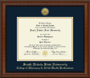 South Dakota State University diploma frame - Gold Engraved Medallion Diploma Frame in Austin