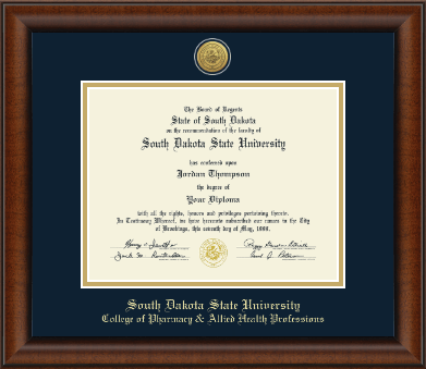 South Dakota State University diploma frame - Gold Engraved Medallion Diploma Frame in Austin