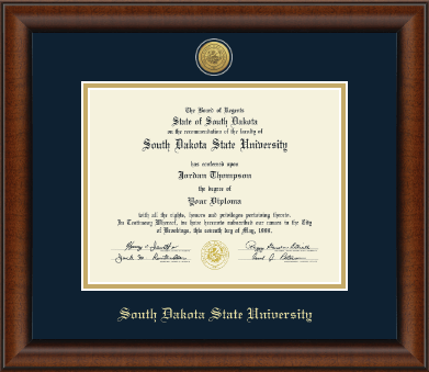 South Dakota State University diploma frame - Gold Engraved Medallion Diploma Frame in Austin