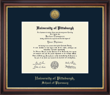 University of Pittsburgh diploma frame - Gold Engraved Medallion Diploma Frame in Regency Gold
