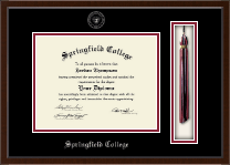 Springfield College Tassel Edition Diploma Frame in Delta