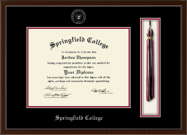 Springfield College diploma frame - Tassel & Cord Diploma Frame in Delta