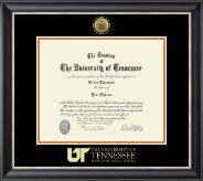 The University of Tennessee Health Science Center Memphis Gold Engraved Medallion Diploma Frame in Noir