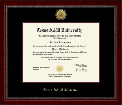 Texas A&M University - Galveston diploma frame - Gold Engraved Medallion Diploma Frame in Sutton