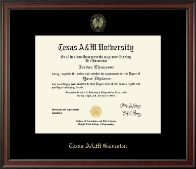 Texas A&M University - Galveston diploma frame - Gold Embossed Diploma Frame in Studio