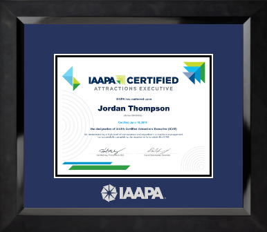 International Association of Amusement Parks and Attractions certificate frame - Silver Embossed Certificate Frame in Eclipse