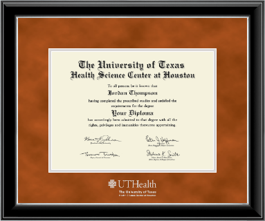 University of Texas Health Science Center at Houston diploma frame - Silver Embossed Diploma Frame in Onyx Silver