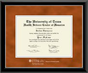 University of Texas Health Science Center at Houston Silver Embossed Diploma Frame in Onyx Silver