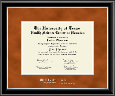 University of Texas Health Science Center at Houston diploma frame - Silver Embossed Diploma Frame in Onyx Silver