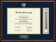 Cabrini University diploma frame - Tassel Edition Diploma Frame in Southport