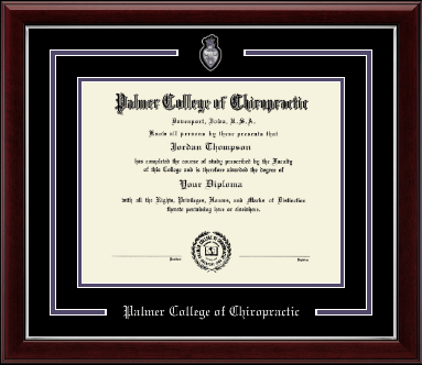 Palmer College of Chiropractic Iowa diploma frame - Pewter Spirit Medallion Diploma Frame in Gallery Silver