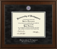 University of Bridgeport diploma frame - Presidential Masterpiece Diploma Frame in Madison