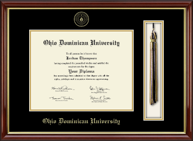 Ohio Dominican University diploma frame - Tassel & Cord Diploma Frame in Southport Gold