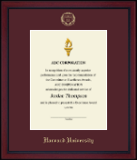 University of South Florida certificate frame - Gold Embossed Certificate Frame in Academy