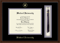 Waldorf University Tassel Edition Diploma Frame in Delta