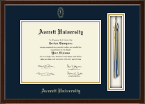 University of South Florida diploma frame - Tassel & Cord Diploma Frame in Delta