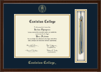 University of South Florida diploma frame - Tassel & Cord Diploma Frame in Delta