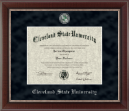 University of South Florida diploma frame - Regal Diploma Frame in Chateau