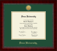 University of South Florida diploma frame - Gold Engraved Medallion Diploma Frame in Sutton