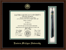 University of South Florida diploma frame - Tassel & Cord Diploma Frame in Delta