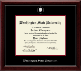 Silver Embossed Diploma Frame
