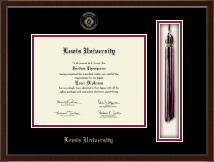 University of South Florida diploma frame - Tassel & Cord Diploma Frame in Delta