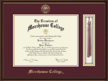 University of South Florida diploma frame - Tassel & Cord Diploma Frame in Delta