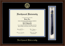 University of South Florida diploma frame - Tassel & Cord Diploma Frame in Delta