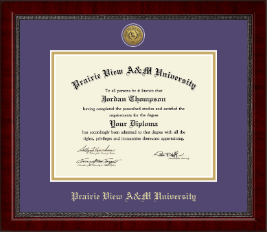 Prairie View A&M University diploma frame - Gold Engraved Medallion Diploma Frame in Sutton