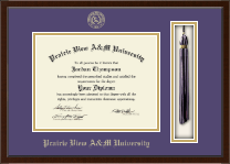 University of South Florida diploma frame - Tassel & Cord Diploma Frame in Delta