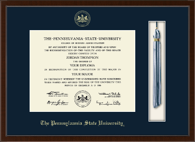 Pennsylvania State University diploma frame - Tassel & Cord Diploma Frame in Delta