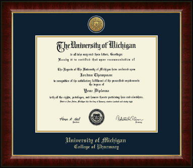University of Michigan diploma frame - Gold Engraved Medallion Diploma Frame in Murano
