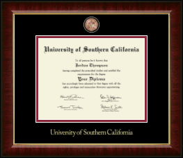 Masterpiece Medallion Diploma Frame